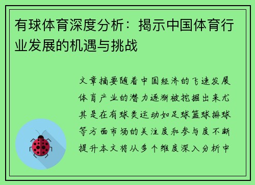 有球体育深度分析：揭示中国体育行业发展的机遇与挑战